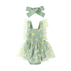 Verde / 12 Meses