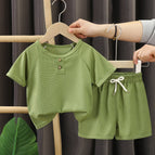 Verde / 3~6 M