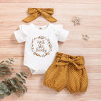 Mostarda / 3-6 Meses
